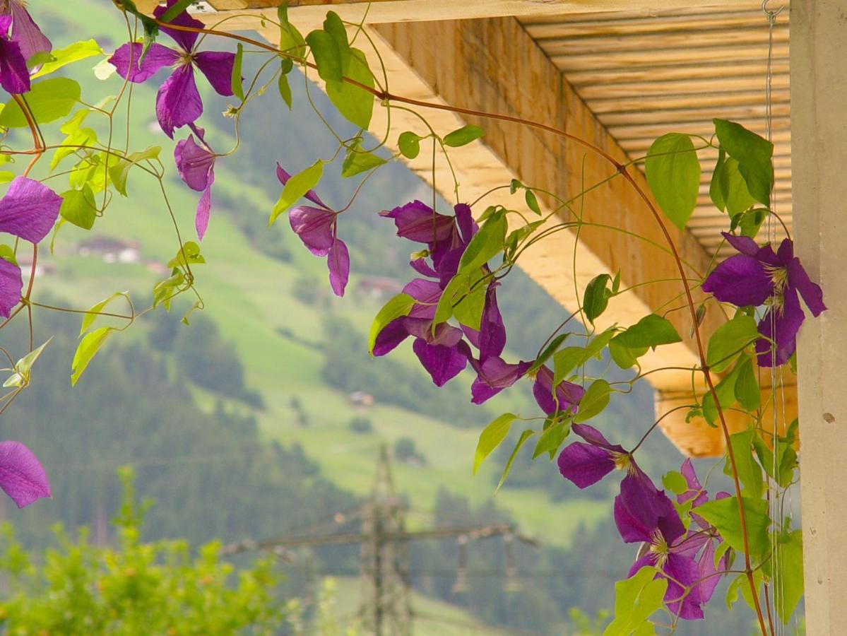 Appartement Birgla Ramsau im Zillertal Esterno foto